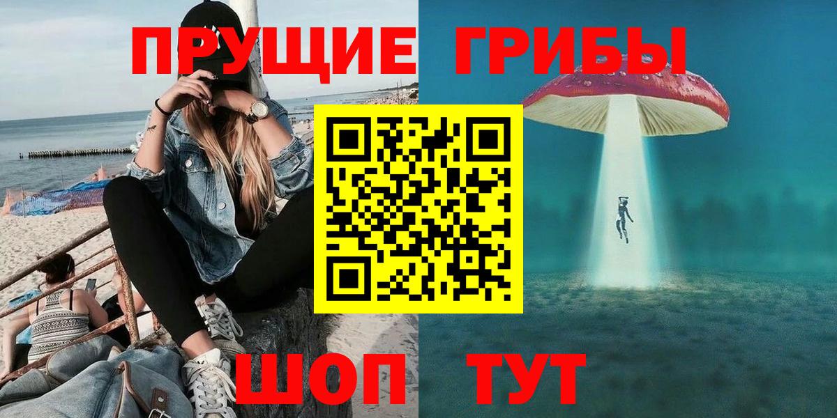 Галлюциногенные грибы GOLDEN TEACHER  Вход с VPN  Галлюциногенные грибы Psilocybe  Норильск 