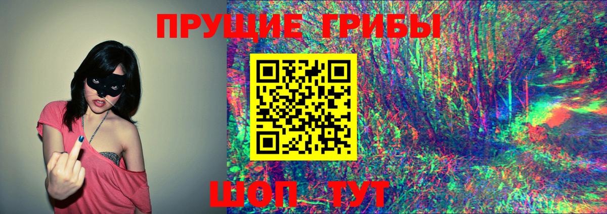Псилоцибиновые грибы GOLDEN TEACHER Норильск